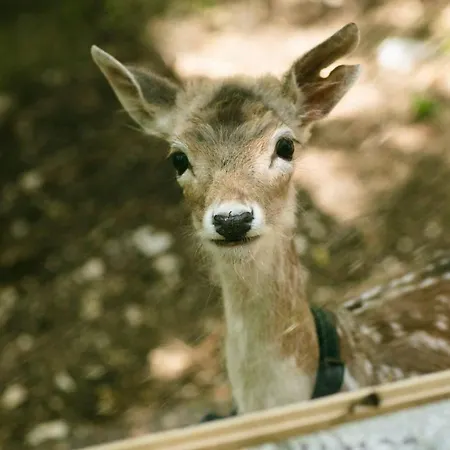 Farmház Borgo Incantato Spoleto
