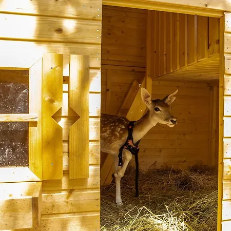 Séjour à la ferme Borgo Incantato Spoleto Pompagnano