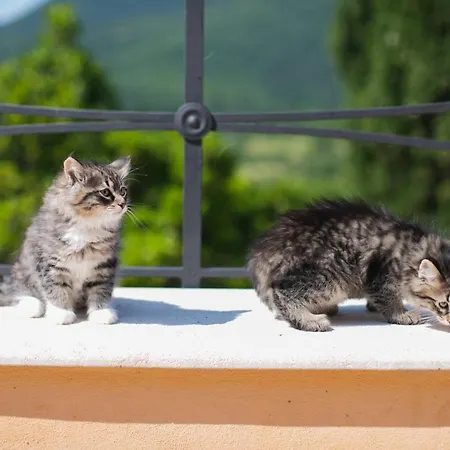 Borgo Incantato Spoleto Farmház