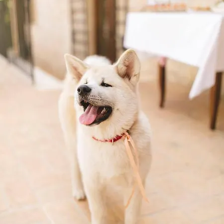 Borgo Incantato Spoleto Pompagnano