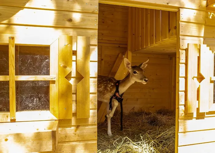Alloggio per agriturismo Borgo Incantato Spoleto Pompagnano