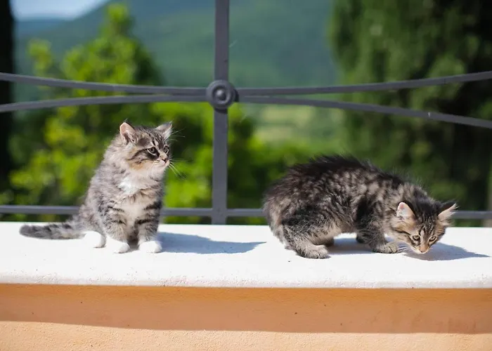 Borgo Incantato Spoleto Κατάλυμα σε φάρμα