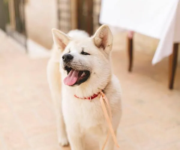 Borgo Incantato Spoleto Pompagnano